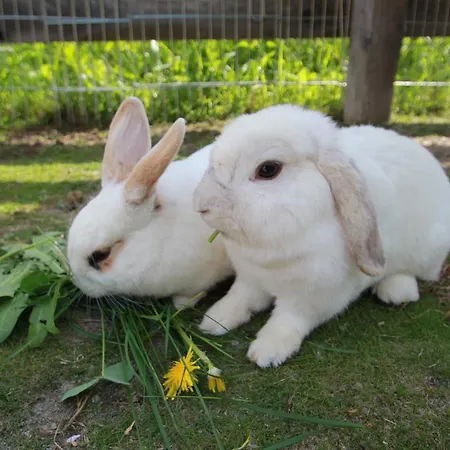 شقة Alte Post سانكت ليونارد إم بيتزتال