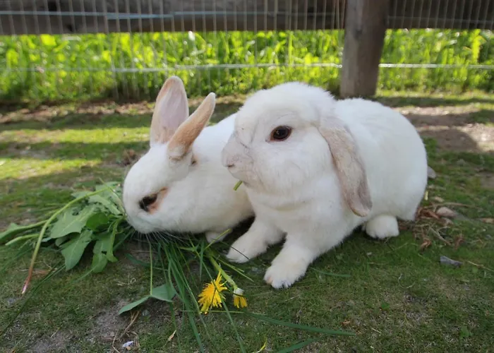 Apartmán Alte Post Sankt Leonhard im Pitztal